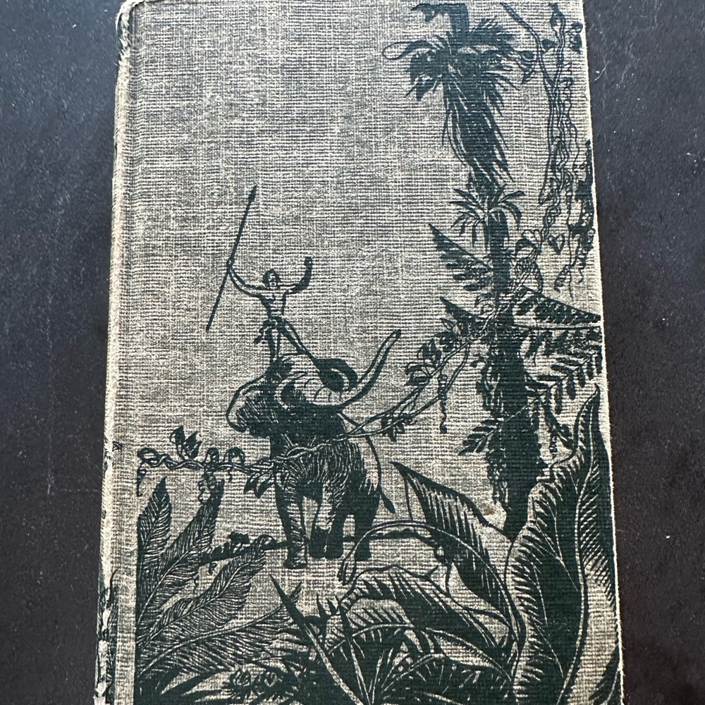 Vintage Tarzan Lord of the Jungle Hardcover Book (1928 Copyright)